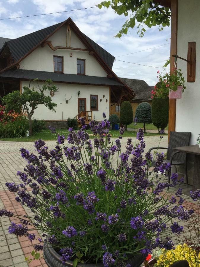 Bed and Breakfast Dom Rodziny Sojkow Бялка-Татшаньска Экстерьер фото
